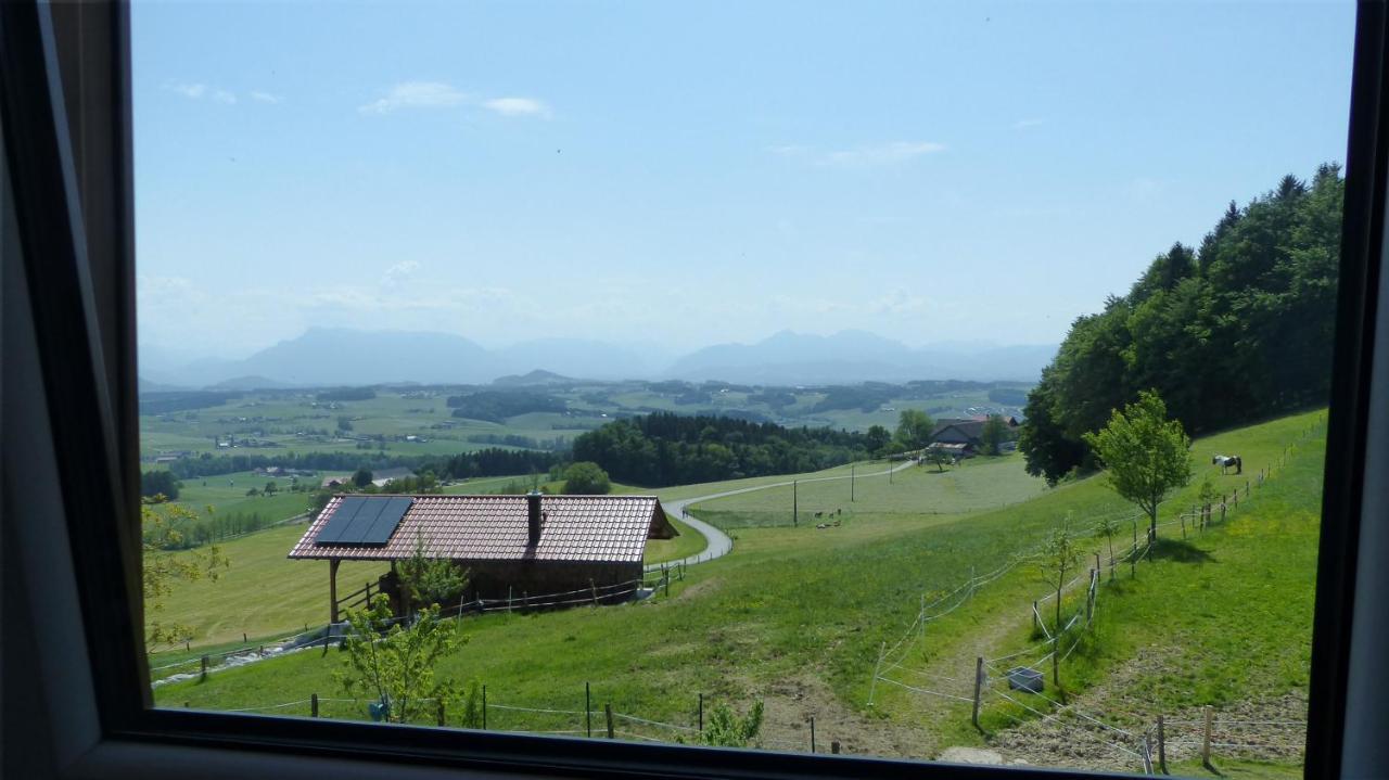 Ferienwohnung Steger Матзее Экстерьер фото