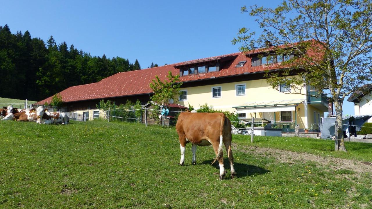 Ferienwohnung Steger Матзее Экстерьер фото